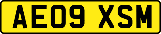 AE09XSM