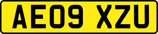 AE09XZU