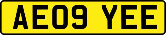 AE09YEE