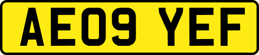 AE09YEF