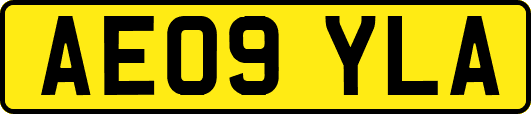 AE09YLA