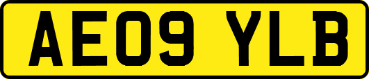 AE09YLB