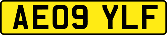 AE09YLF