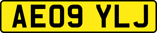 AE09YLJ