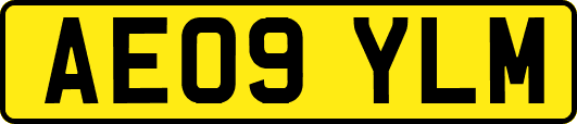 AE09YLM