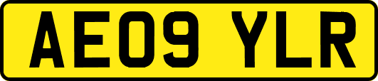 AE09YLR