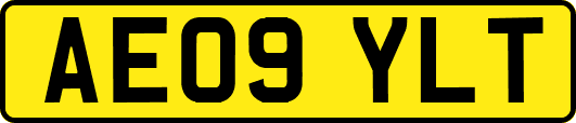 AE09YLT