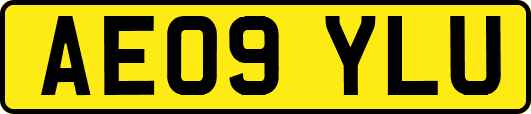 AE09YLU