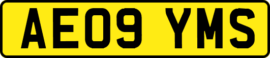 AE09YMS