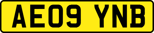 AE09YNB
