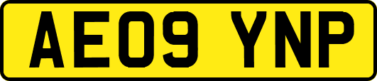 AE09YNP