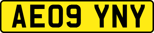 AE09YNY