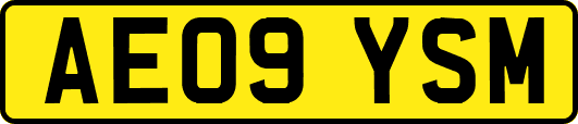 AE09YSM
