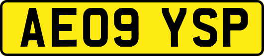 AE09YSP