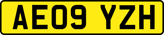 AE09YZH