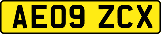 AE09ZCX