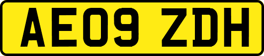 AE09ZDH