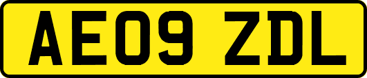 AE09ZDL