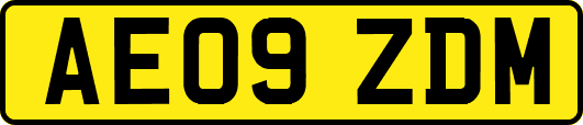 AE09ZDM