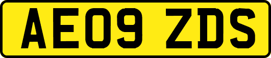 AE09ZDS