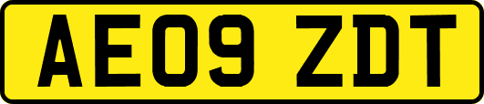 AE09ZDT