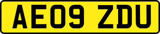 AE09ZDU