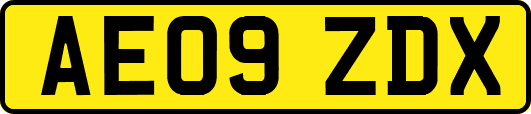 AE09ZDX