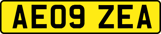 AE09ZEA