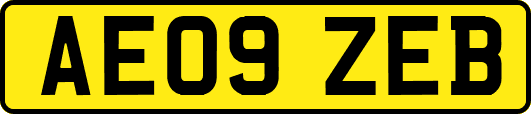 AE09ZEB