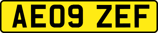 AE09ZEF