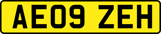 AE09ZEH