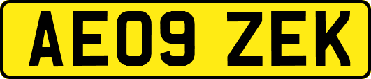 AE09ZEK