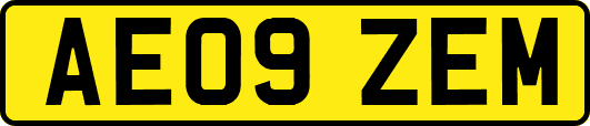 AE09ZEM