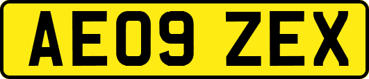 AE09ZEX