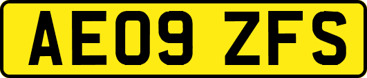 AE09ZFS