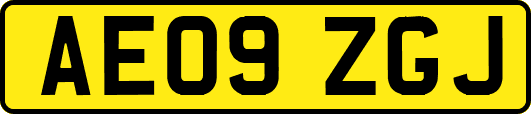 AE09ZGJ