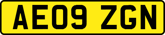 AE09ZGN