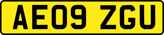 AE09ZGU