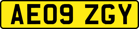 AE09ZGY