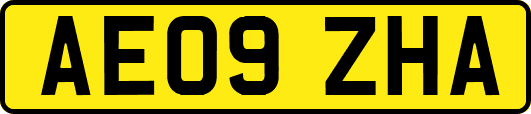 AE09ZHA