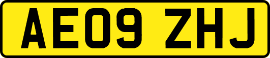 AE09ZHJ