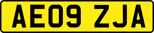 AE09ZJA