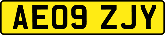 AE09ZJY