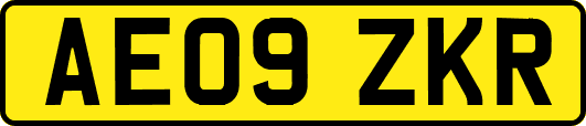 AE09ZKR