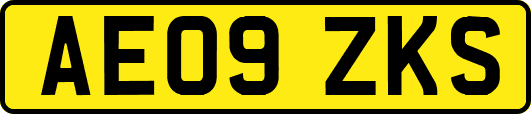 AE09ZKS