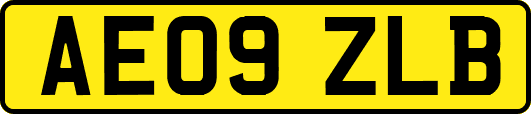 AE09ZLB