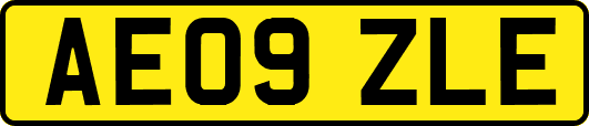 AE09ZLE