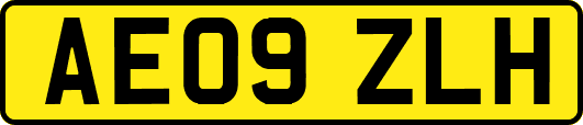 AE09ZLH