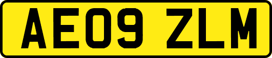 AE09ZLM