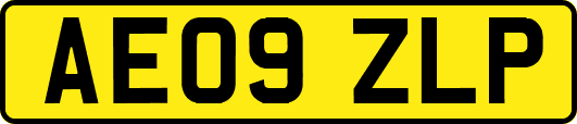 AE09ZLP